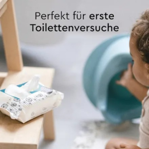 Feuchte Toilettentücher, 60 St