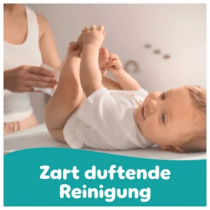 Feuchttücher Fresh & Clean (4×80 St), 320 St